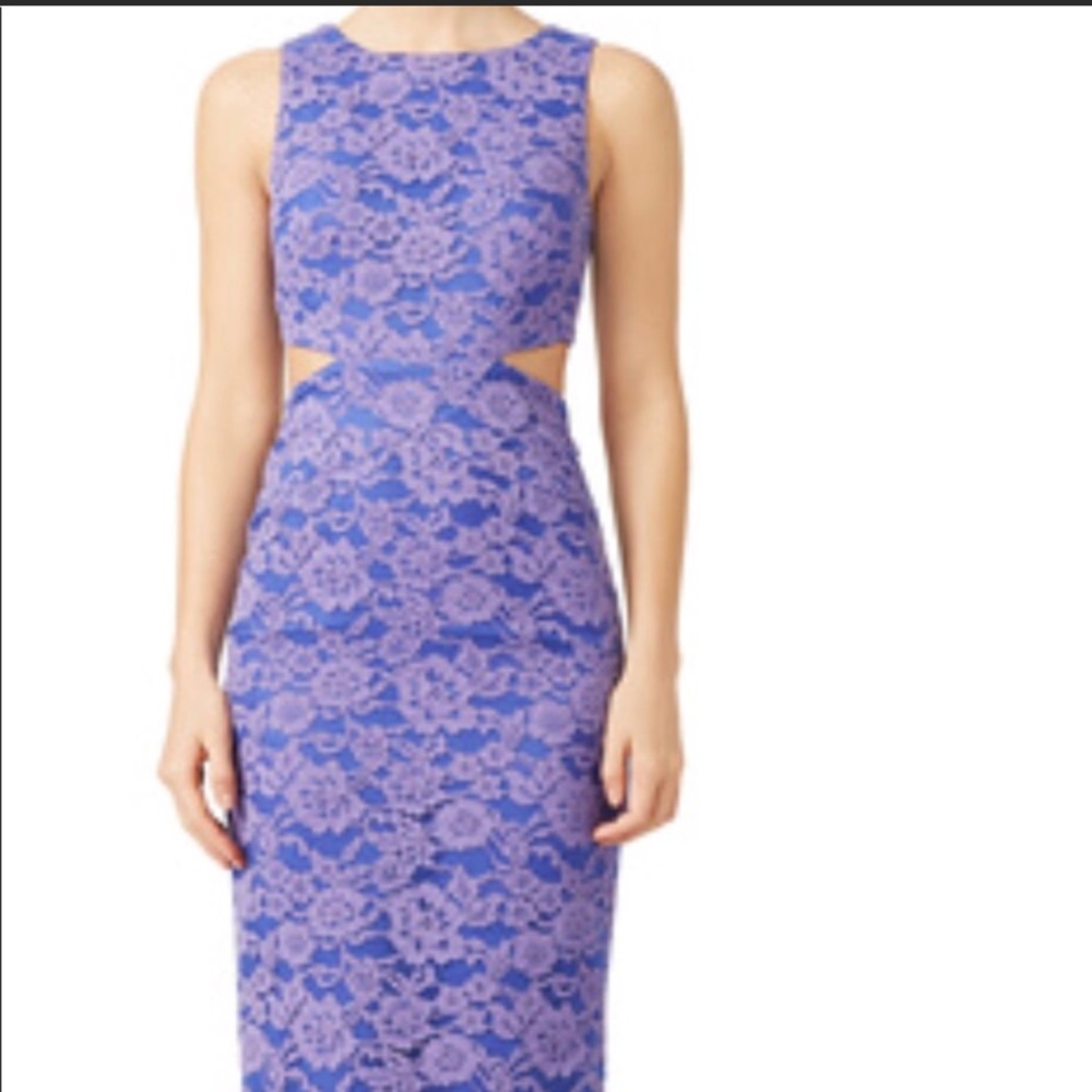 Nicole Miller Lilac Coast Gown Size 4